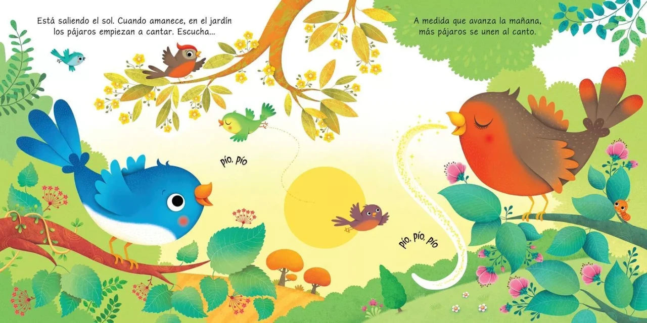 Detalle interior del libro Así suena el jardín, texturas y agujeros para mirar y explorar