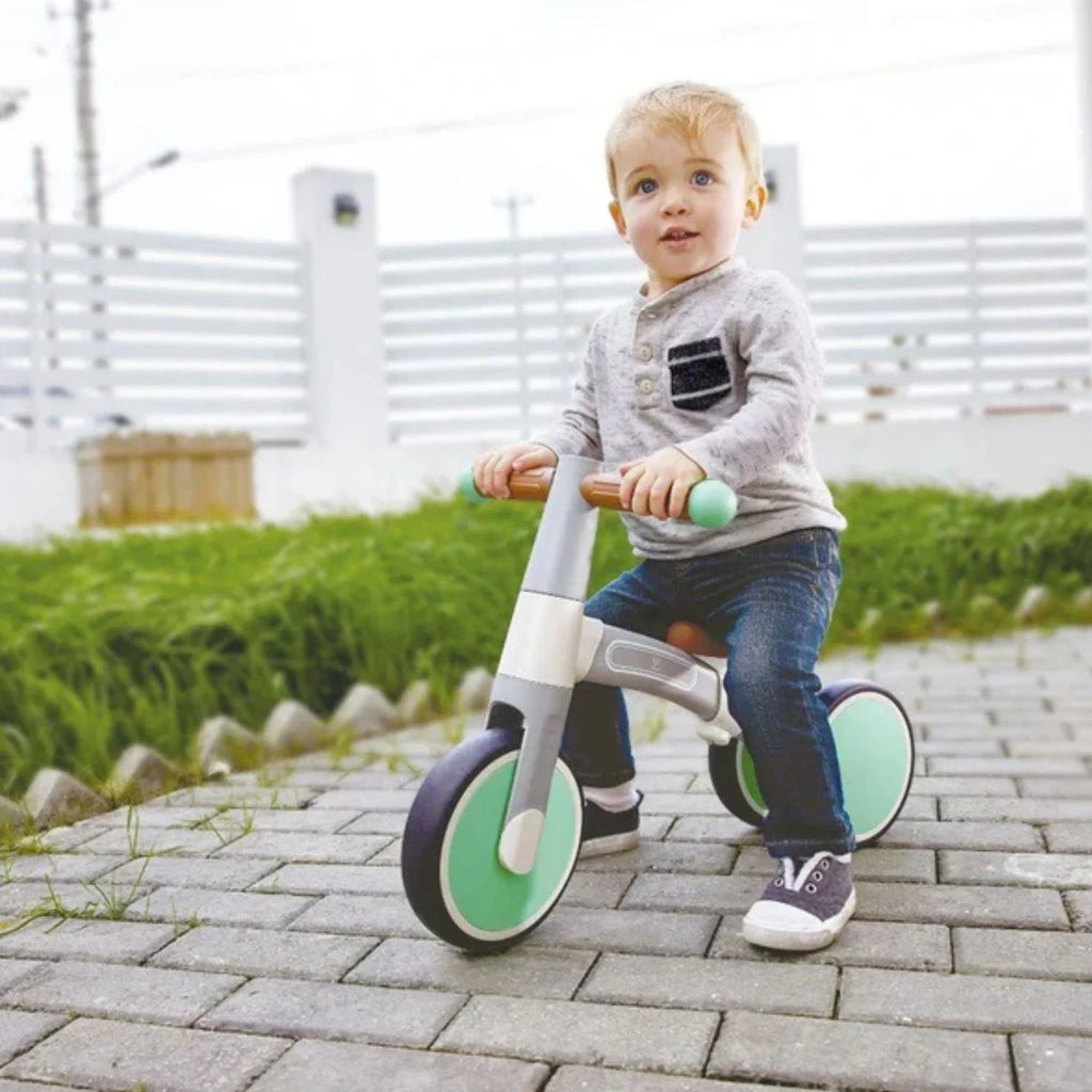 MI PRIMER TRICICLO VERDE