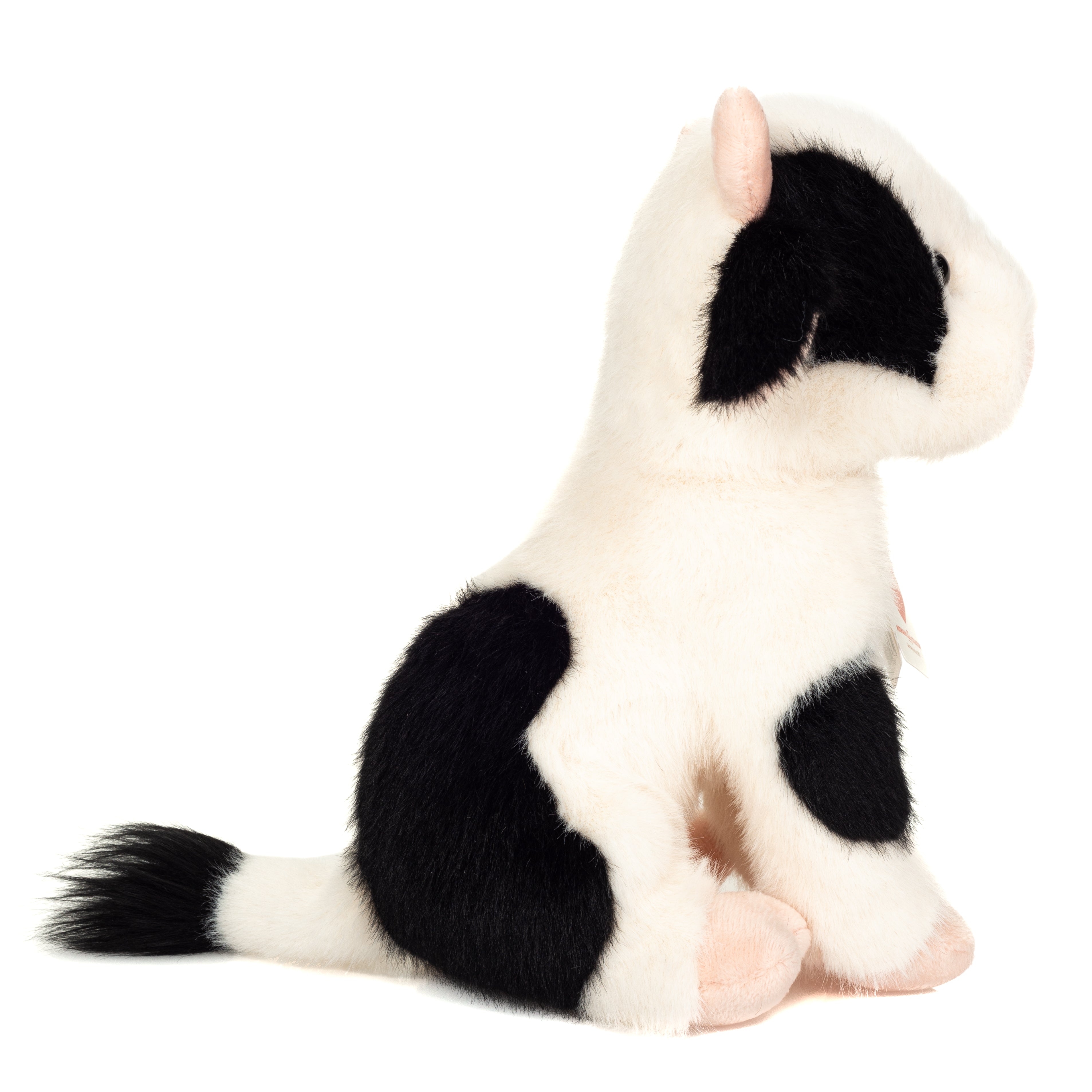 VACA SMILLA TEDDY 25
