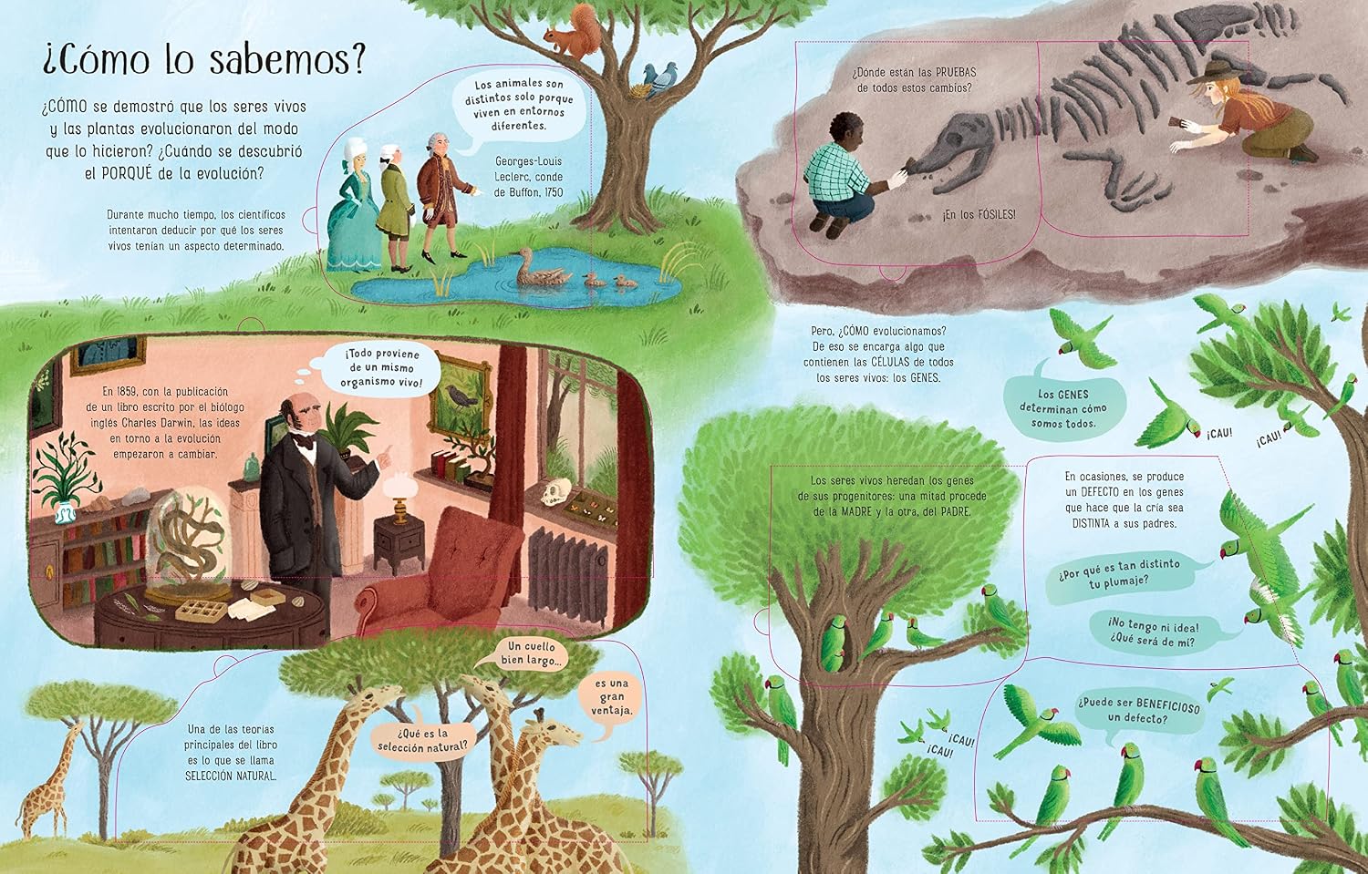 CONOCE POR DENTRO LA EVOLUCION
