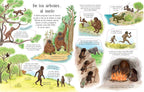 CONOCE POR DENTRO LA EVOLUCION