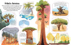 CONOCE POR DENTRO LOS ARBOLES