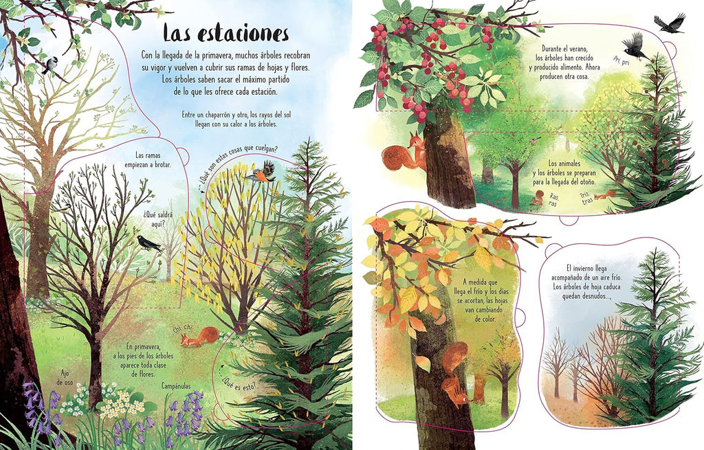 CONOCE POR DENTRO LOS ARBOLES