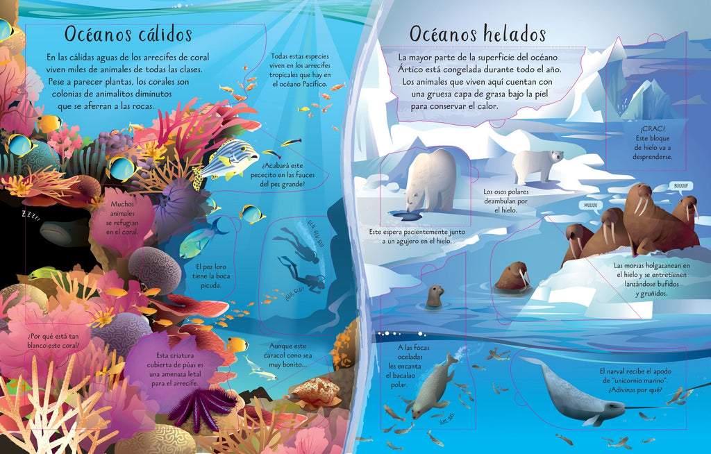 CONOCE POR DENTRO LOS OCEANOS