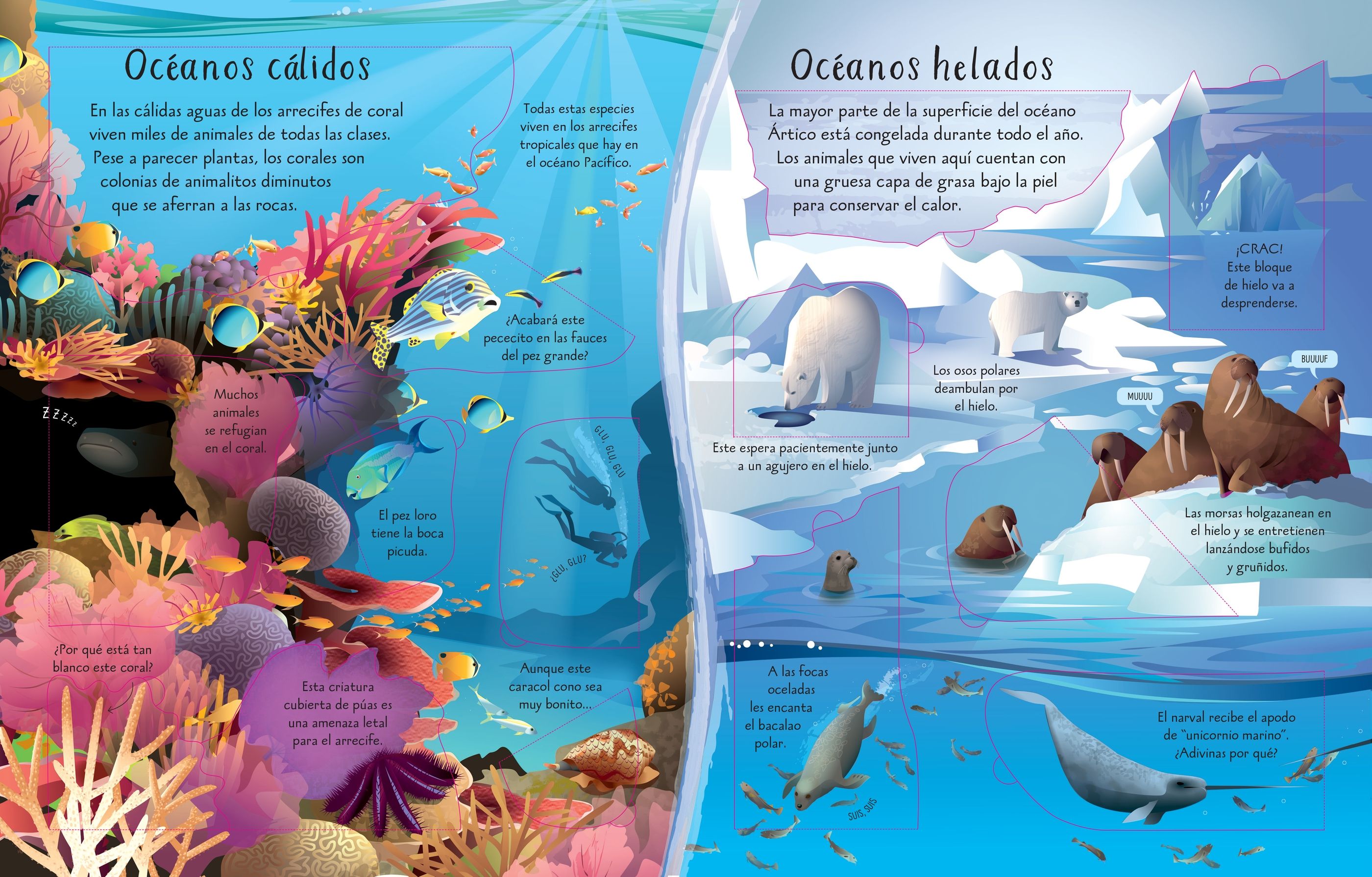 CONOCE POR DENTRO LOS OCEANOS