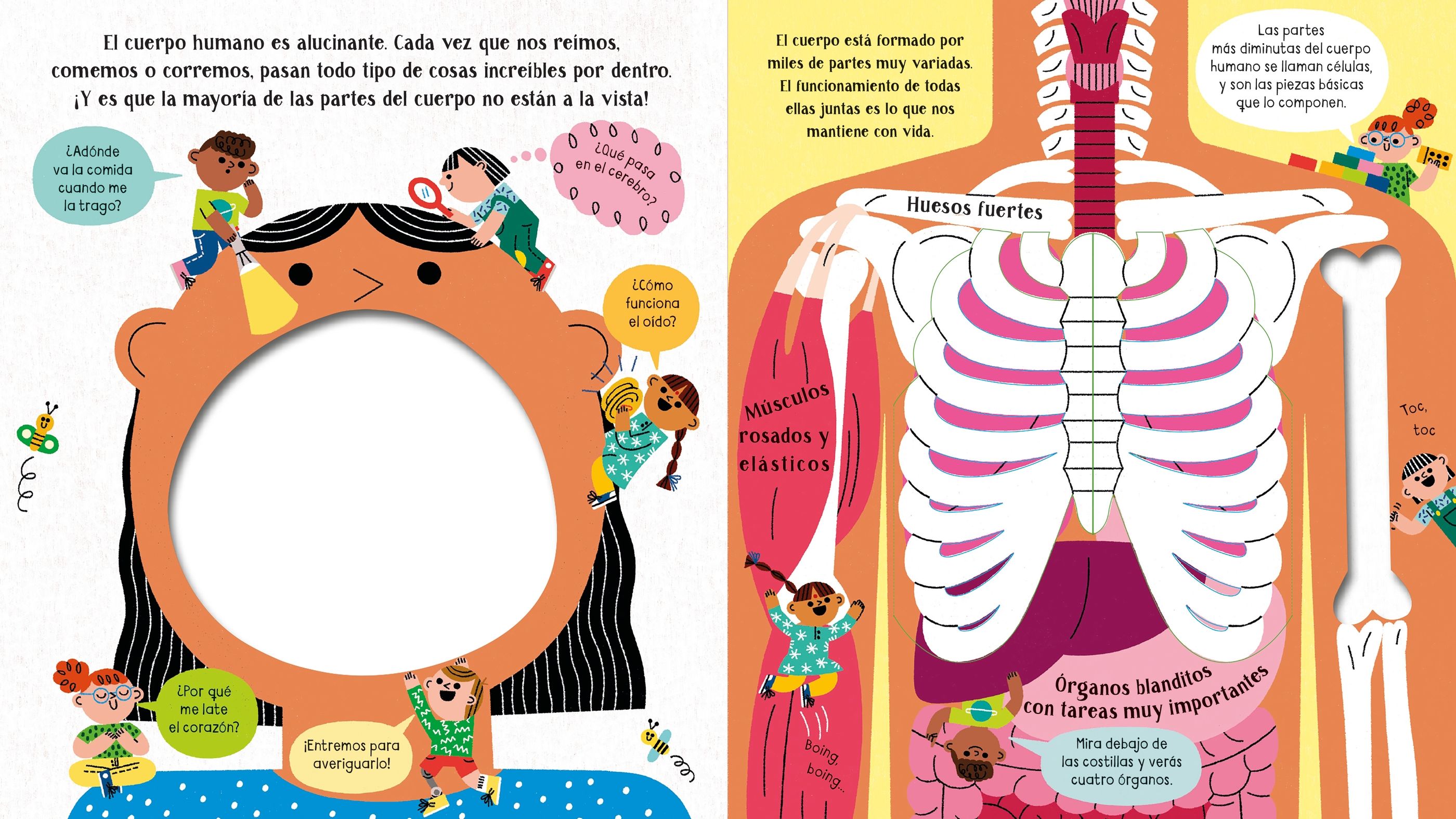 ADENTRATE EN LA CIENCIA : TU CUERPO