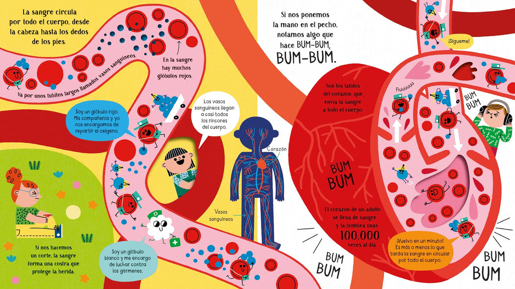 ADENTRATE EN LA CIENCIA : TU CUERPO