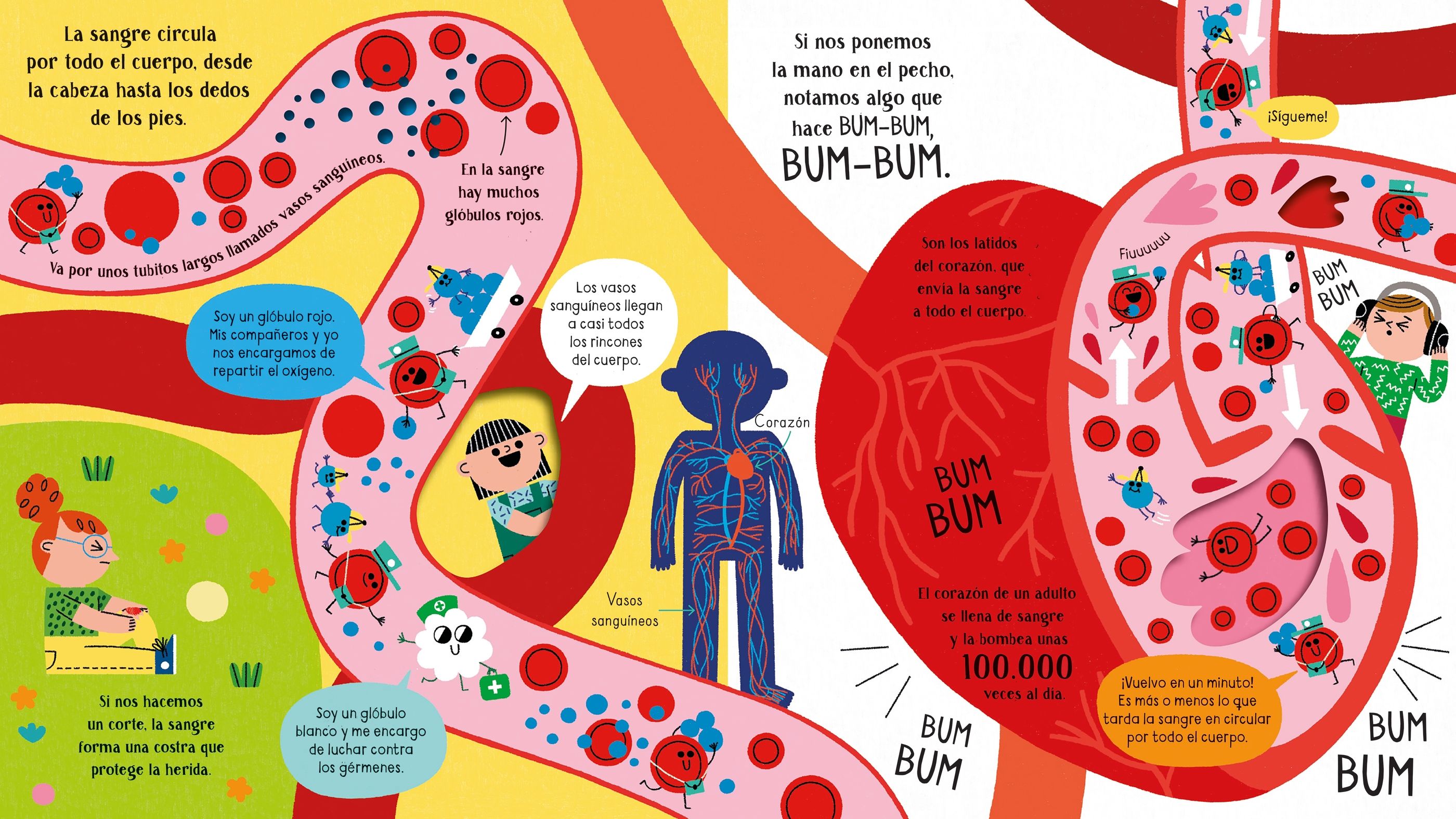 ADENTRATE EN LA CIENCIA : TU CUERPO