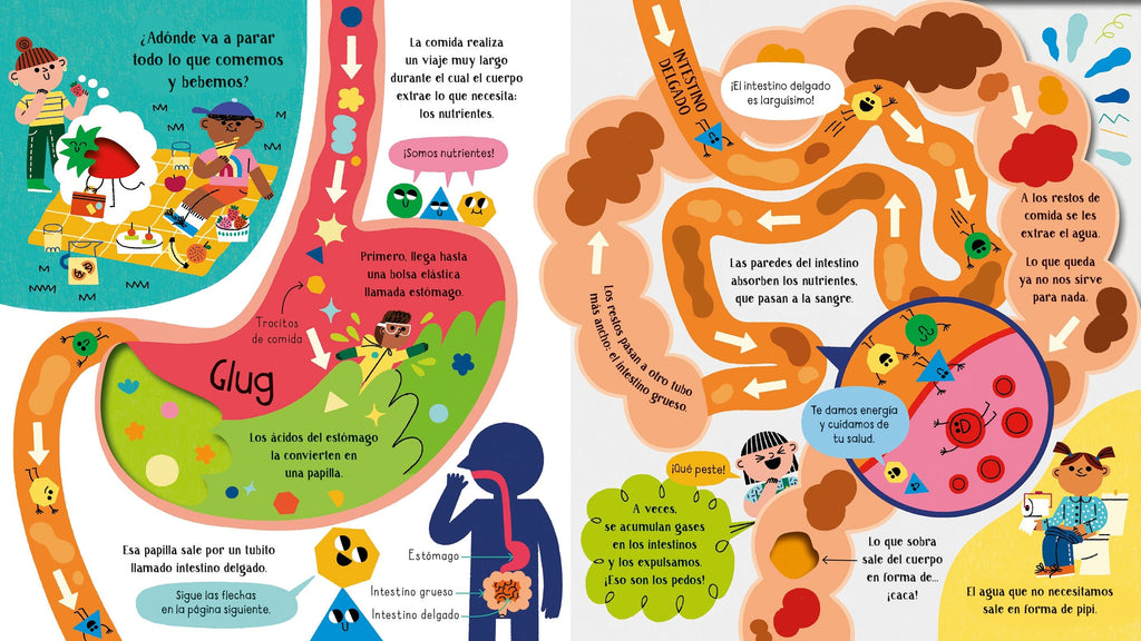ADENTRATE EN LA CIENCIA : TU CUERPO