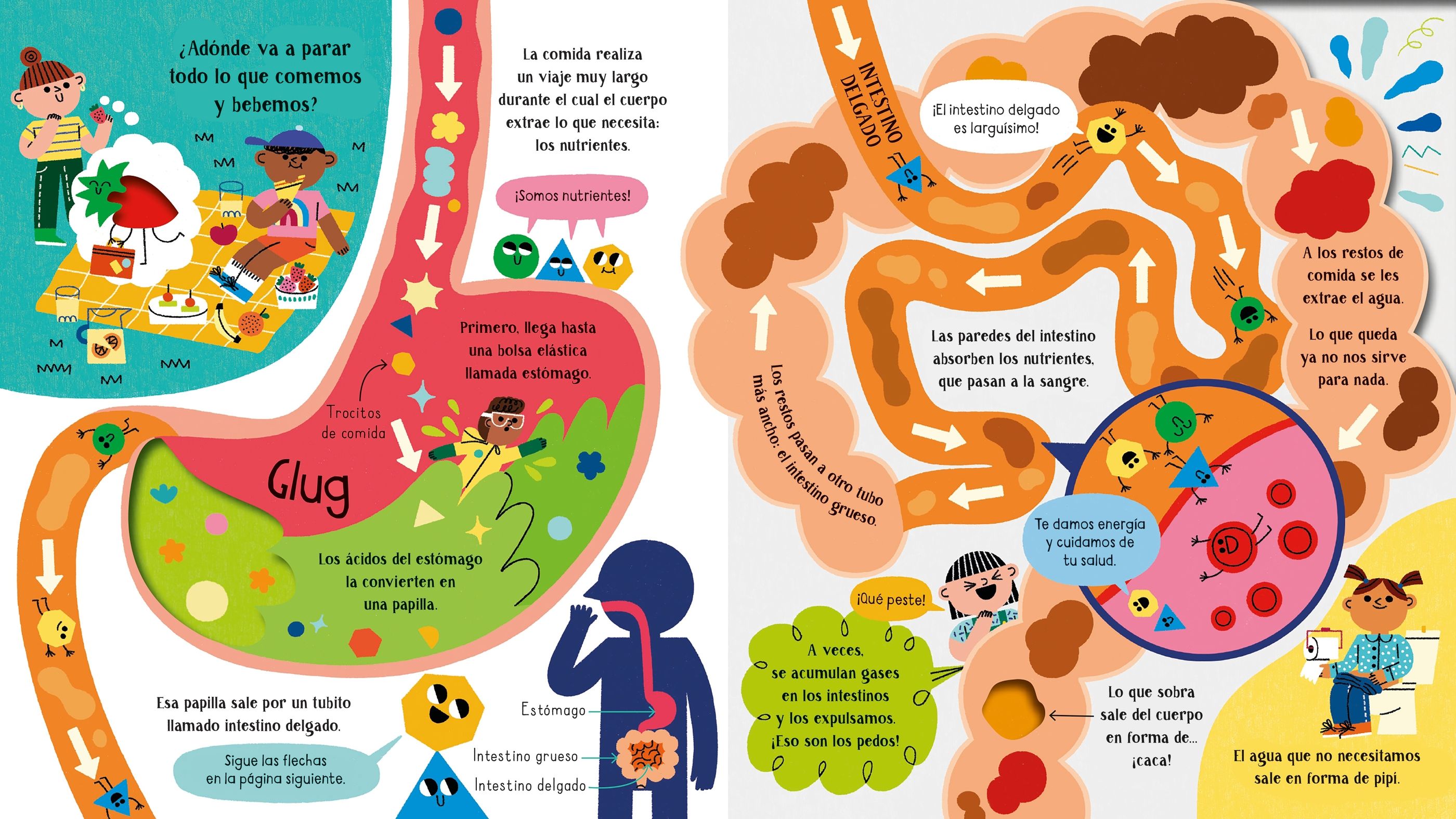 ADENTRATE EN LA CIENCIA : TU CUERPO
