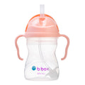 VASO SIPPY PEACH B.BOCH