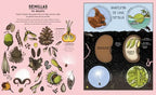 CICLOS DE LA NATURALEZA
