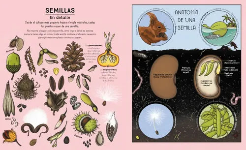 CICLOS DE LA NATURALEZA