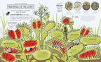 CICLOS DE LA NATURALEZA