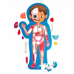 PUZLE CUERPO HUMANO HAPE +4